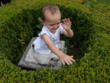 Highslide JS